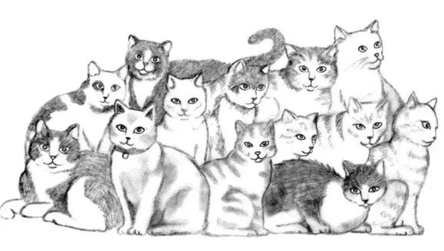 Эскиз кота прозрачный силиконовый печать DIY Скрапбукинг Фотоальбом декоративный