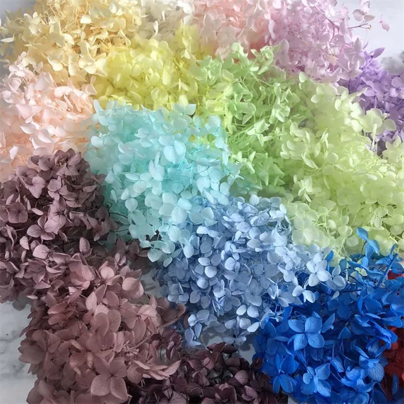 

5~5.5g/Lot Natural Fresh Preserved Flowers Dried Small Leaves Hydrangea Flower Heads For DIY Real Eternal Life Flowers Material
