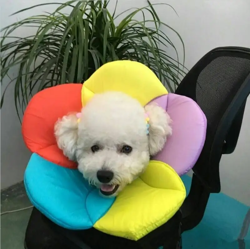 Цветочная Форма Pet Elizabeth Circle Dog Cat протектор для груминга ошейник чехол для питомца собаки защита аксессуары для здоровья
