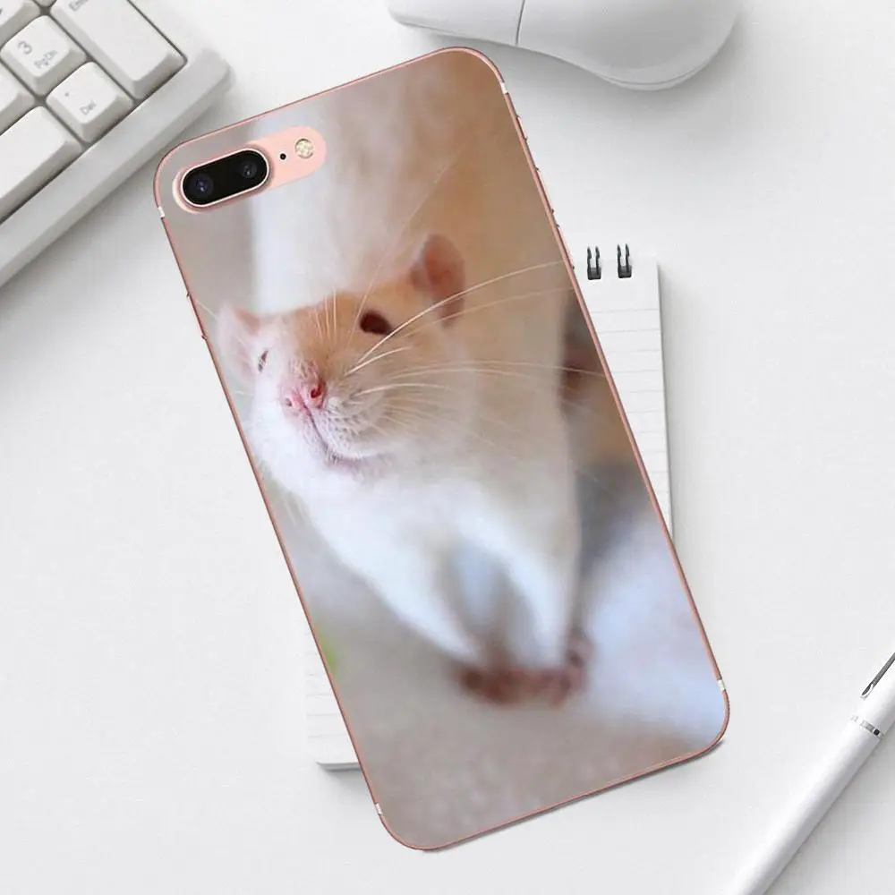 Qdoupz граффити крыса носить очки Ist Banksy для iPhone 4 4S 5 5C SE 6 6S 7 8 Plus X XS Max XR Galaxy A3 A5 J1 J3 J5 J7 - Цвет: as picture