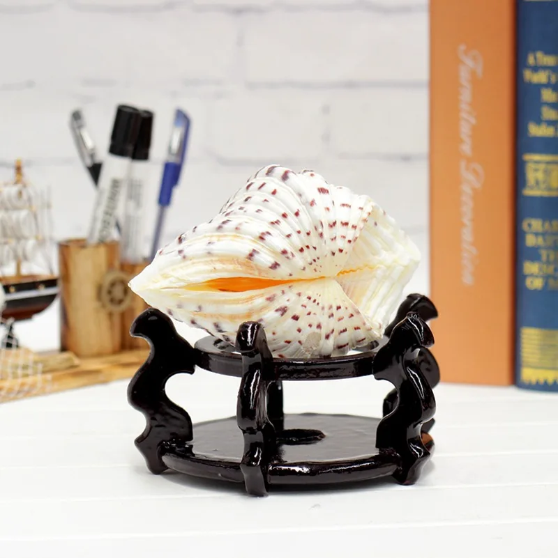

Free Shipping(1pair/lot)Lotus Leaf Shell Natural Shell&Conch Home Decoration Aquarium Landscaping Shell Ornaments