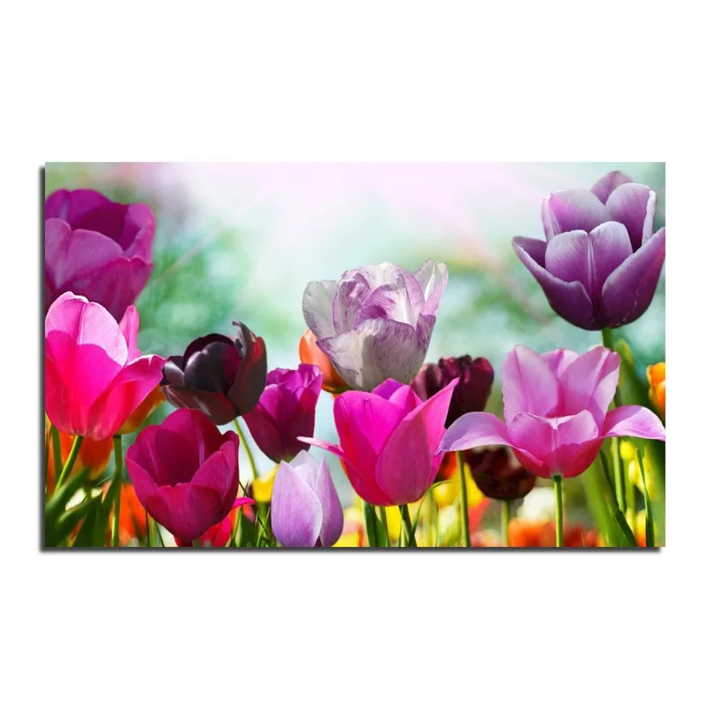 

5D DIY Diamond Painting Tulip Flowers Full Drill Square Diamond Embroidery Sofa Backdrop Mural Freehand Painting Mosaic