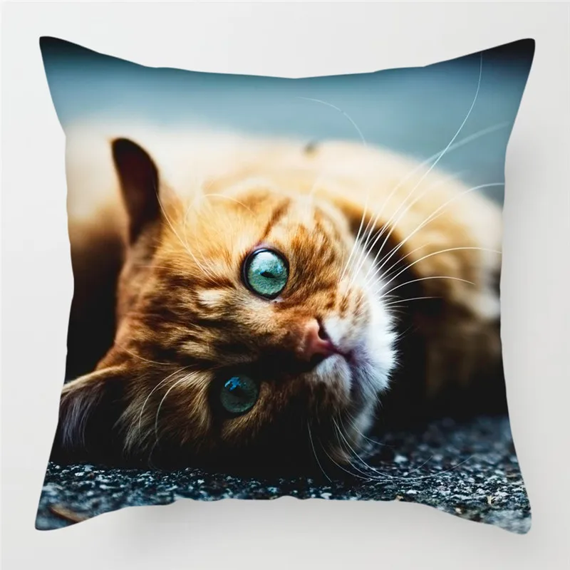 PC07375 Fuwatacchi милый чехол для подушки с кошкой размером 45*45 см канадский голая Наволочки домашние декоративные подушки для дивана, подушка для дома, стула, бросьте, наволочки для подушек - Цвет: PC07375