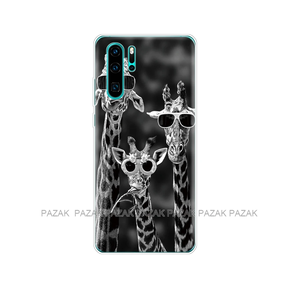 Чехол для huawei P30 Pro Чехол huawei P30Pro силиконовый чехол ТПУ задняя крышка для телефона на huawei P30 Pro VOG-L29 ELE-L29 P 30 Lite чехол - Цвет: 10609