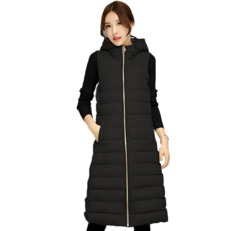 Женский осенне зимний хлопковый жилет Лизы колли женский 2017 Женская куртка с