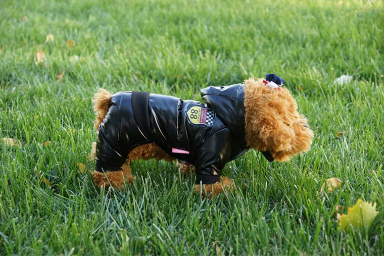 Bajila New Waterproof Fabric Dog Coat Winter Large Size Pet Clothes Thickening Down Jacket Clothing For Dogs Costume |