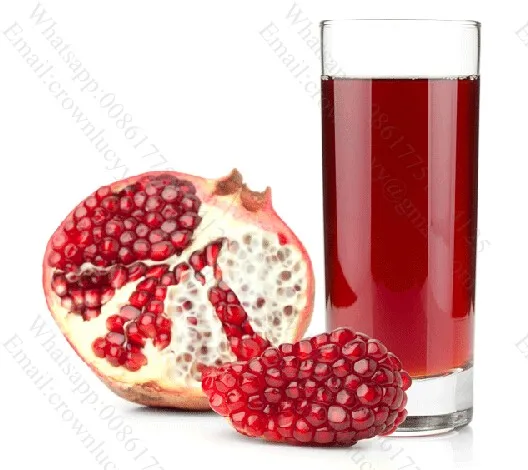 Автоматическая Коммерческая промышленная экстракционная машина для