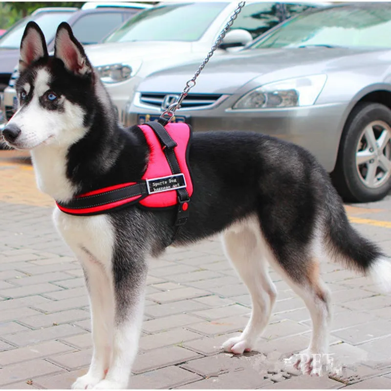 Новинка хит продаж роскошный поводок для собак больших высокое качество хлопок