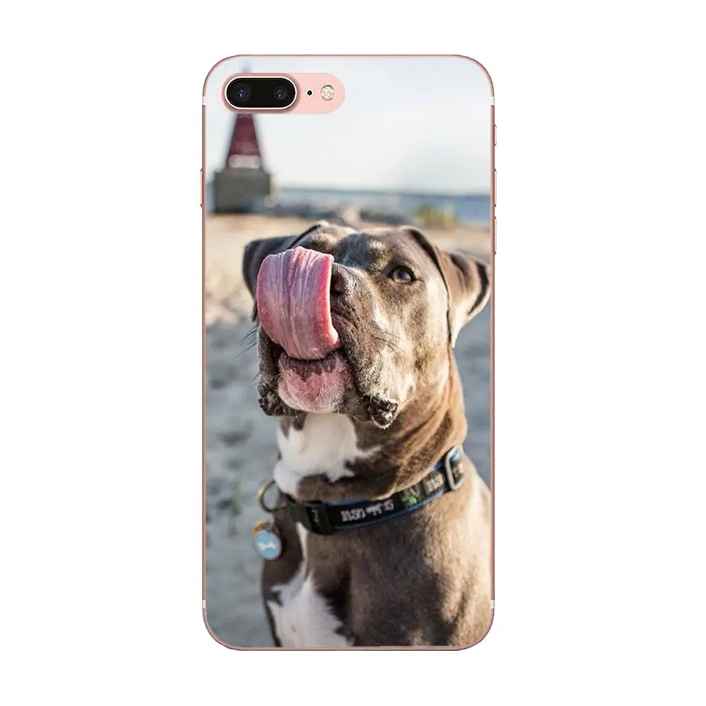 Милая и милая собачка Pitbull Soft для LG Nexus 5 5X V10 V20 V30 V40 2017 2018 2019 | Мобильные телефоны