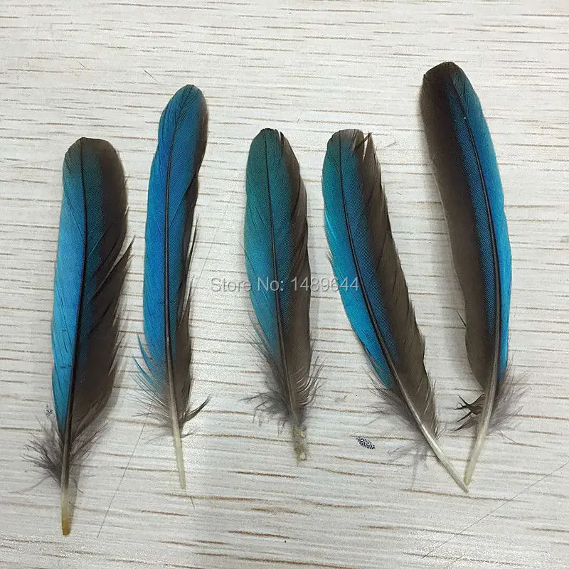 

Wholesale 20 PCS high quality pheasant feather art 6 cm to 9 cm
