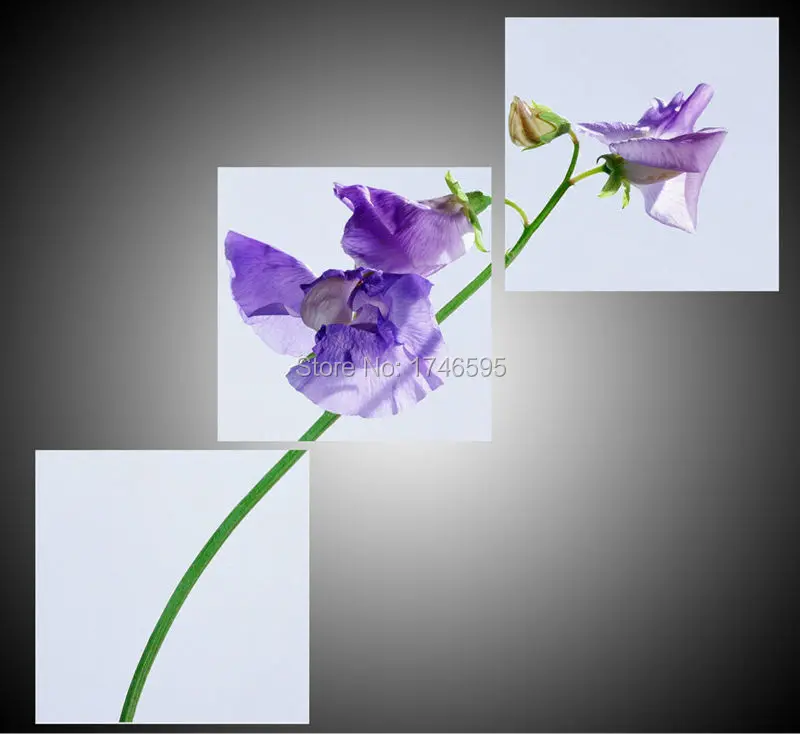 3 шт. Большие размеры бледно-лиловый фаленопсис Бабочки Орхидеи цветок стены