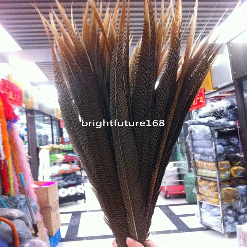 

10 pcs beautiful natural golden pheasant tail feathers 50-55cm /20-22inche