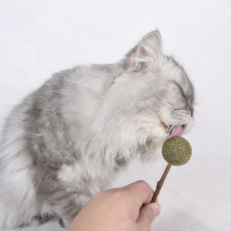 Новинка 2019 игрушка в виде кошачьей мяты леденец палочка для прорезывания зубов
