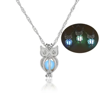 luxury glow in the dark owl necklaces luminous hollow pearl cage pendant silver color chains for women fashion jewelry