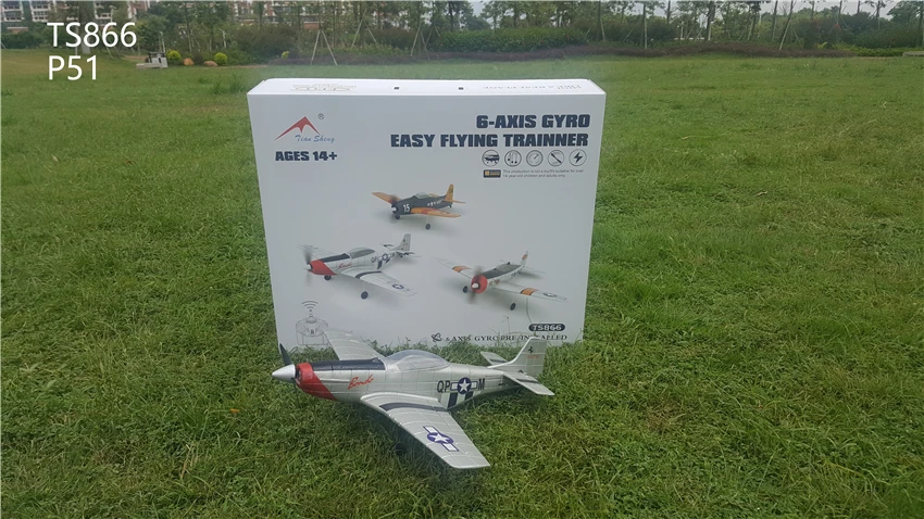 RC самолет P47 P51 F6F RTF приводимого в движение с помощью электропривода 500 мм размах
