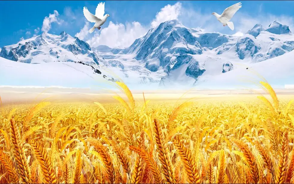 Настенные 3d фотообои на заказ рисунок Ловца снега гор домашний декор настенные