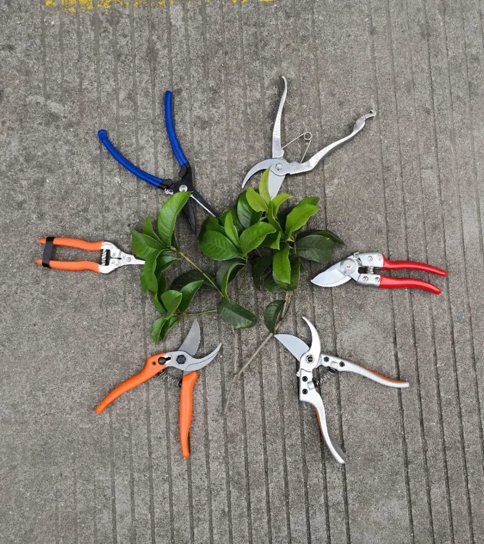 Высокая твердость профессиональные садовые ножницы цветок твиг клиперы изогнутая ручка SK5 легированные стальные лезвия