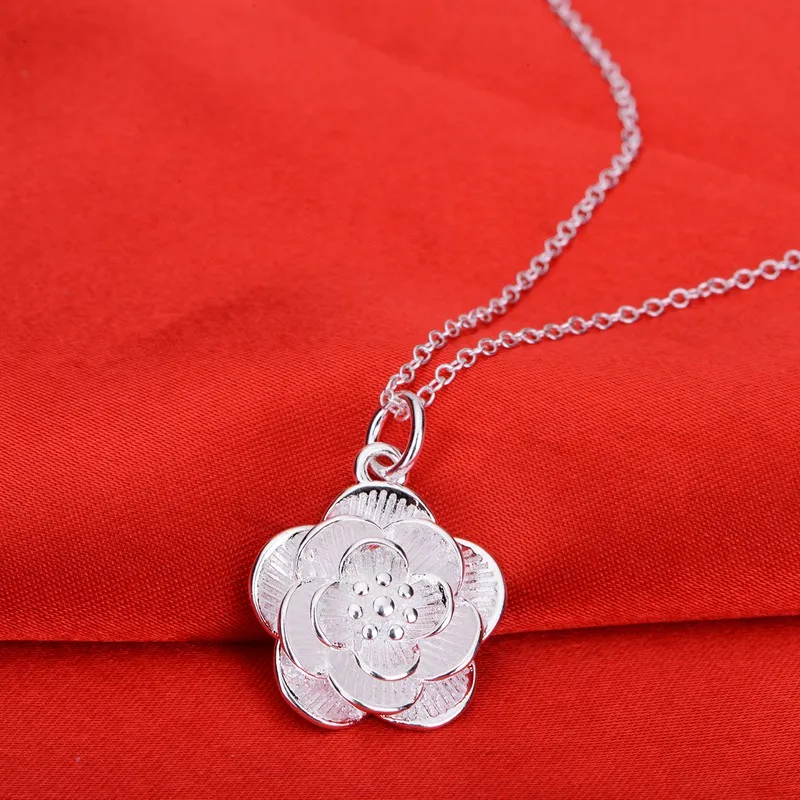 Посеребренное ожерелье 925 ювелирные изделия серебряные Pandant модные JLGLYMEW|jewelry display