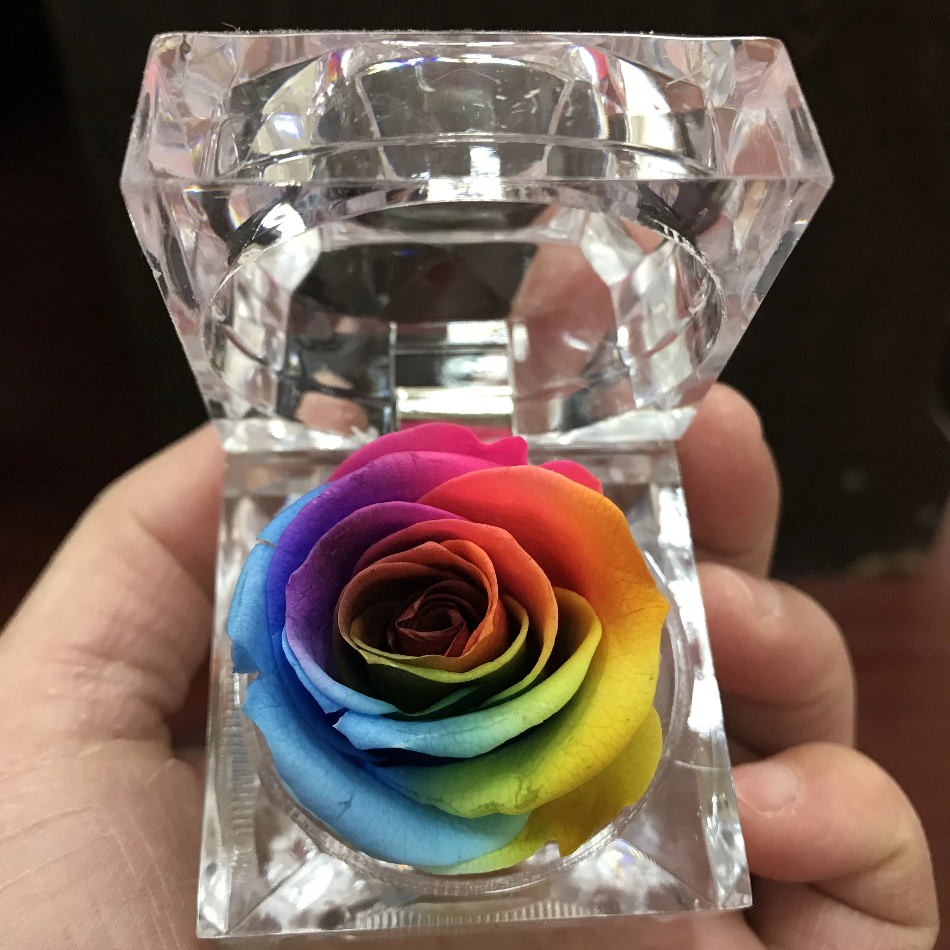 Preserved rose eternal flower ring box colorful roses Key chain Valentine's Day gift natural real.Christmas | Дом и сад
