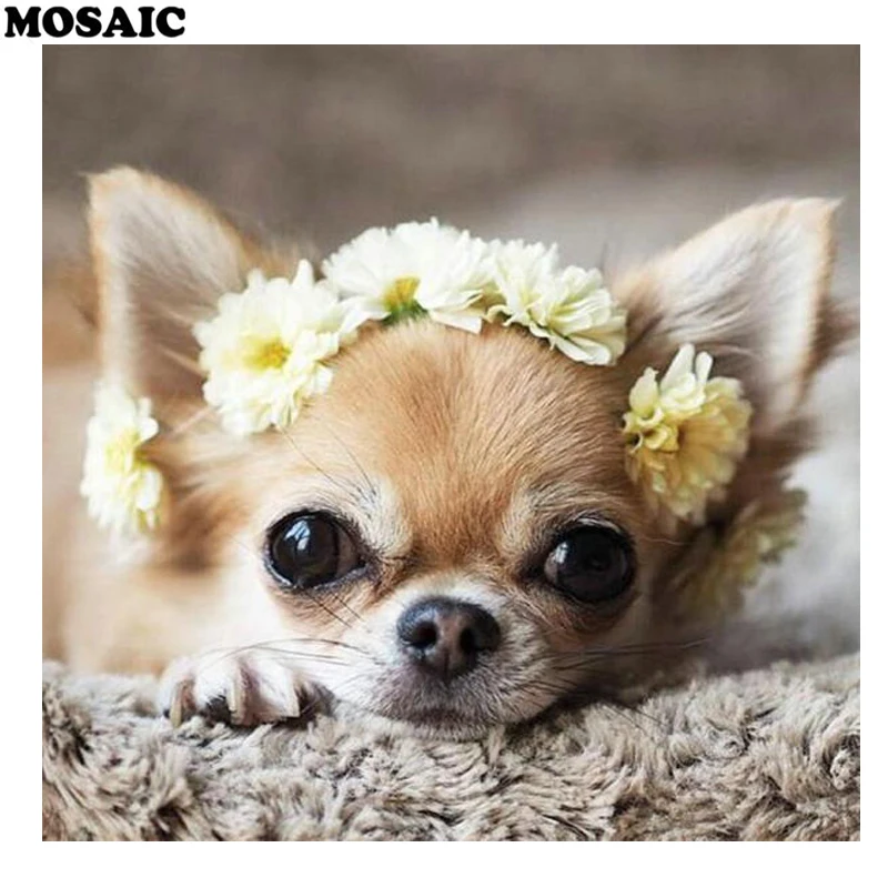 

sale Diamond Embroidery,chihuahua,dog Diamond Painting Cross Stitch birds Full Square Pictures Of Rhinestones Mosaic diamond,art