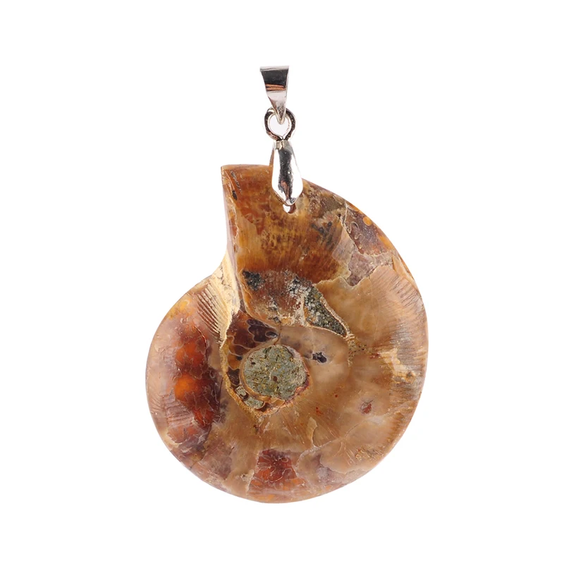 Модные ювелирные изделия натуральный аммонит осколочные ракушки морская