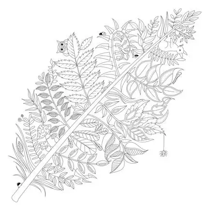 Книга раскраска Elven Forest для взрослых книга секретный сад стильная снятия стресса