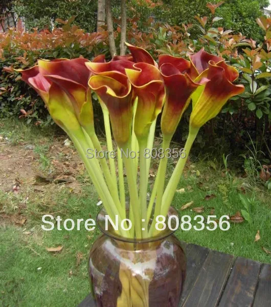 20 шт. настоящие натуральные цветы из искусственной кожи Calla Lily Alocasia Callas 23 62 &quotдля