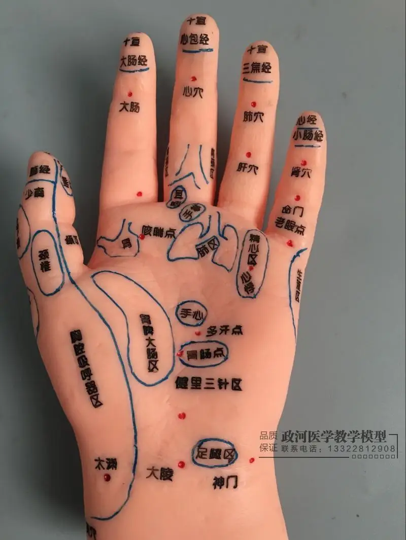 15 сантиметров. рука 15 см. рука 15 см. обхват запястья у мужчин. рука 15 см.