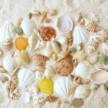 25 шт микс сортов натуральных изделий раковины наборы аквариума орнамент аквариум пейзаж морская улитка украшения дома