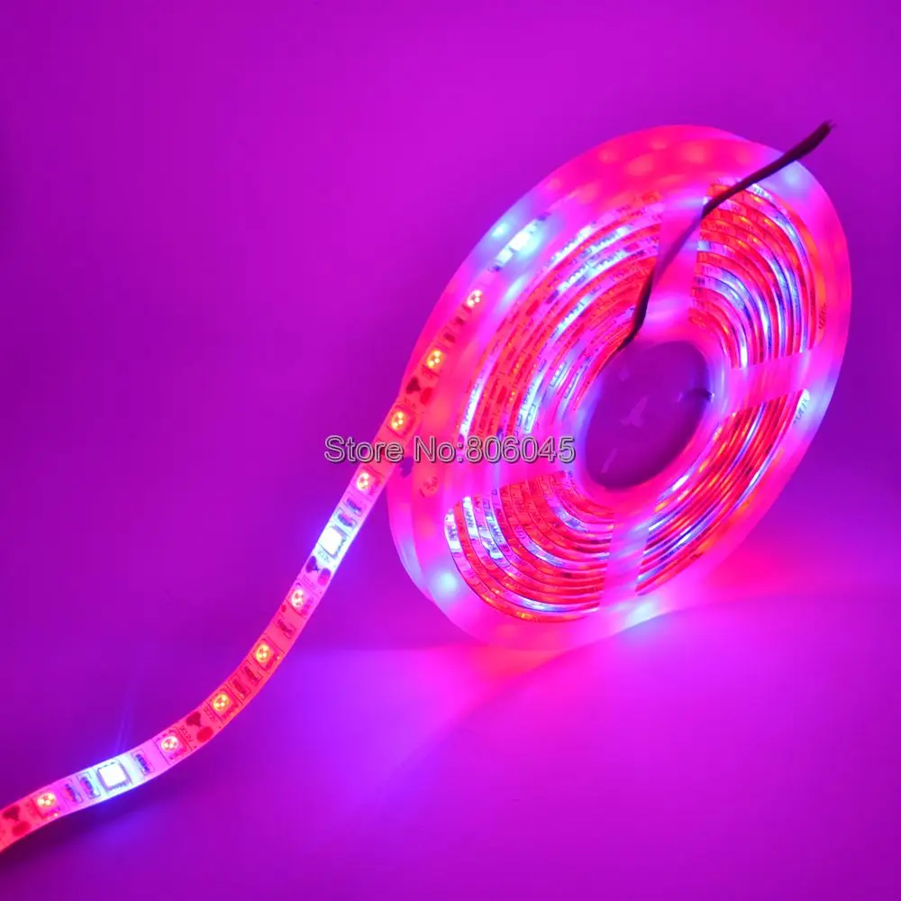 Фитолампа полного спектра 12 В постоянного тока 5 м светодиодная ленсветильник