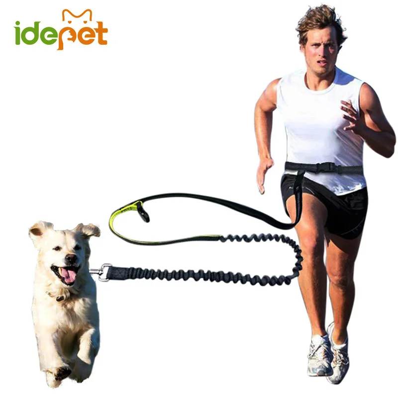 

Elastic Waist Dog Leash For Jogging Walking Pet Dog Product Adjustable Nylon Dog Leash With Reflective Strip hands free dog leas