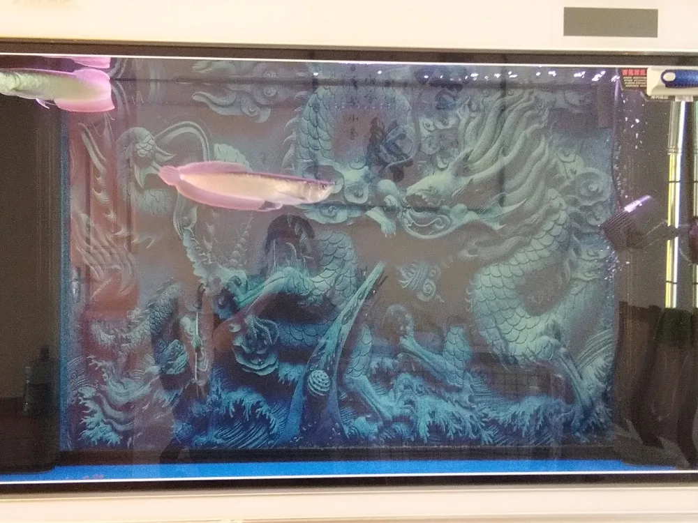 Бесплатная доставка Китайский 3D Дракон Камея фон украшение аквариума плакат с