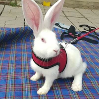 mesh rabbits harness with leash for hamster rabbits bunny ferret guinea small animal pets vest lead pet supplies chest strap