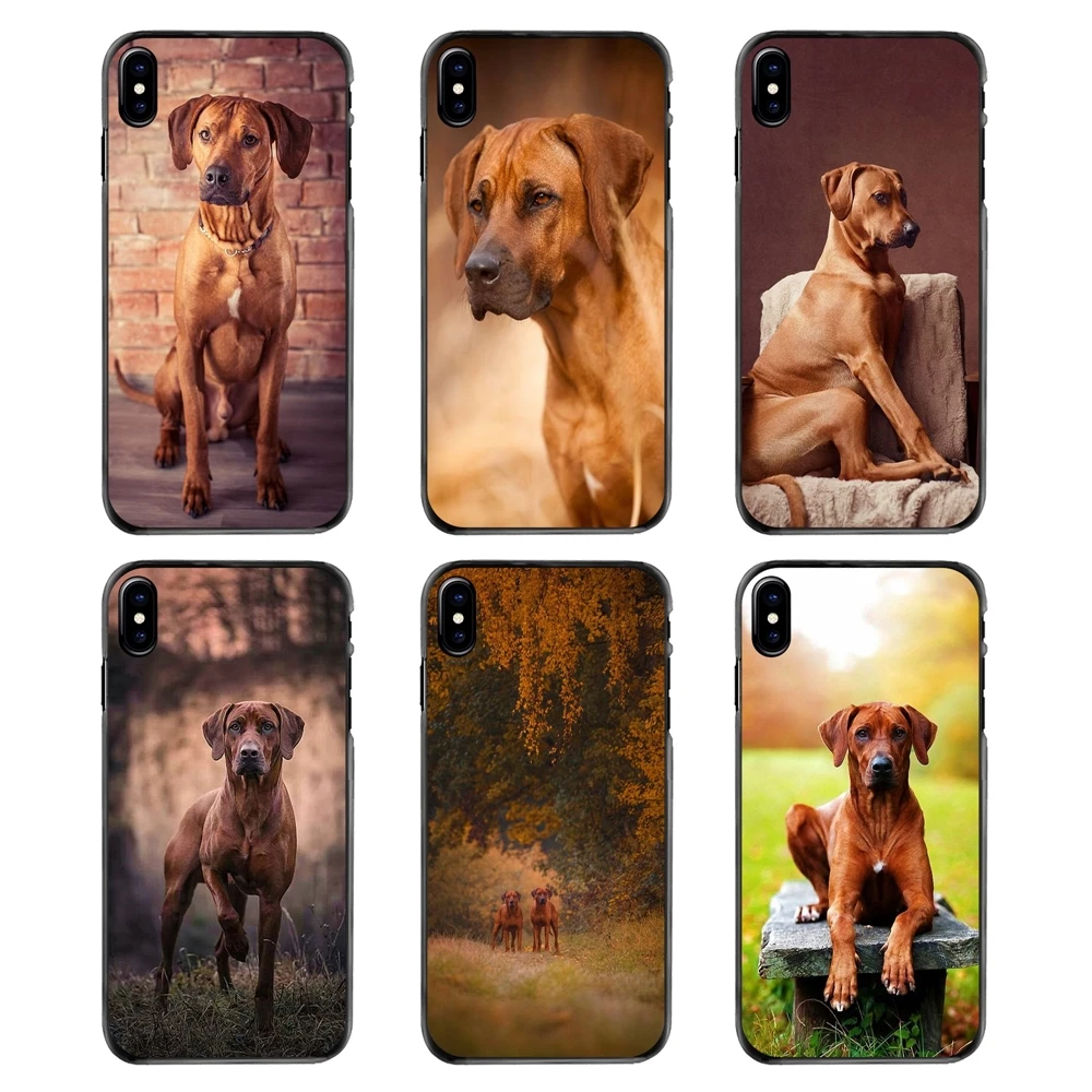 Аксессуары кожи чехол для iPhone 4 4S 5 5S 5C SE 6 S 7 8 Plus X XR XS Max iPod Touch Родезийский Риджбек