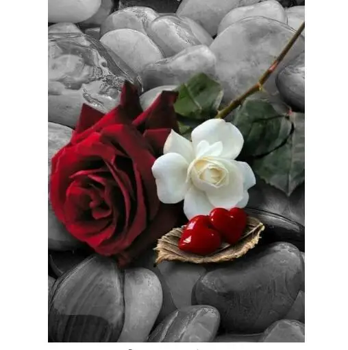 

Diamond Painting Full Square Diamond Mosaic Sale Flowers Rhinestones Pictures Diamond Embroidery Drill Flowers Rose Kit