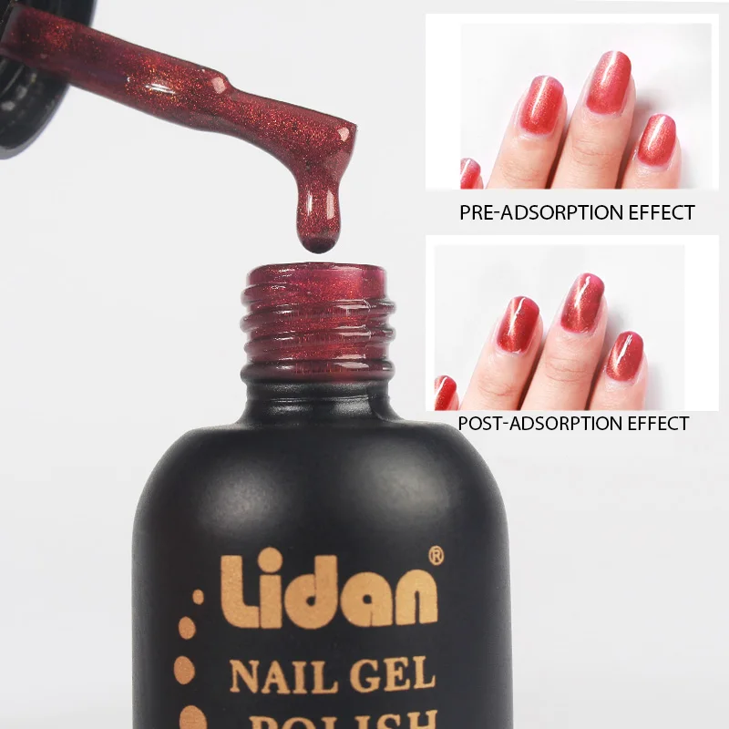 LIDAN 24 цвета лак для ногтей с эффектом кошачий глаз 3D Гель использования магнитом