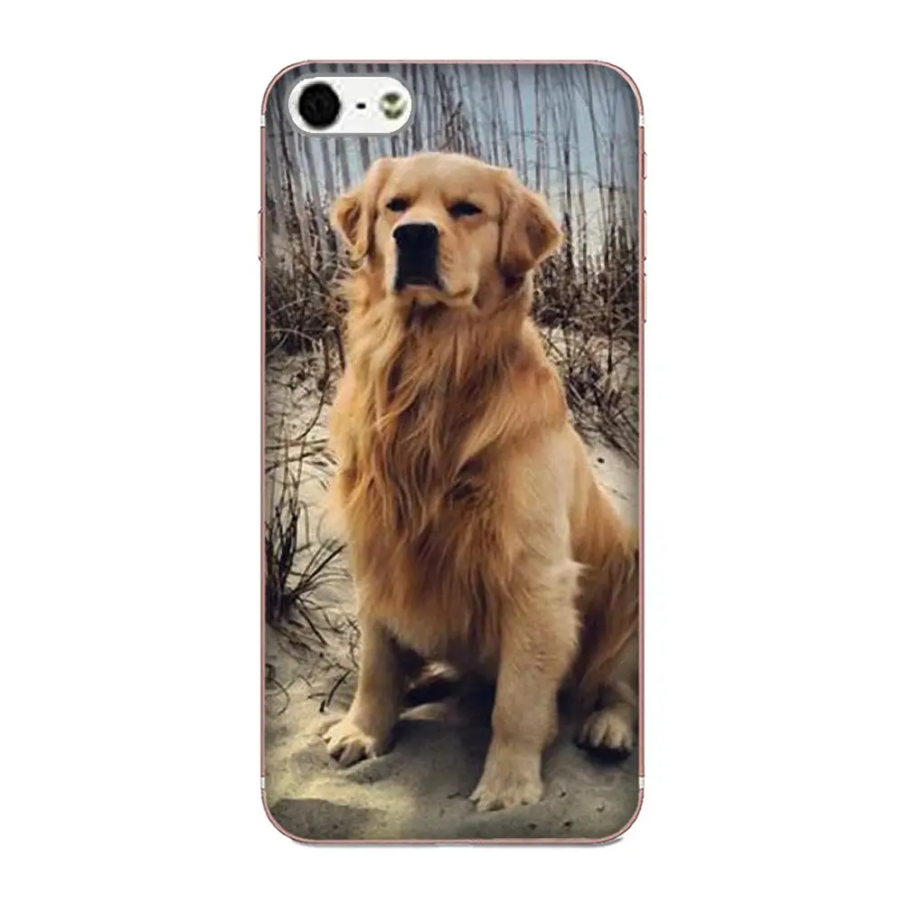 For LG Nexus 5 5X V10 V20 V30 V40 2017 2018 2019 TPU Cases Skin Puppy Labrador Retriever Dog | Mobile Phone &amp Covers