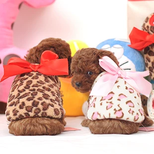 Одежда для щенков с леопардовым принтом жилет маленьких собак одежда весны осени