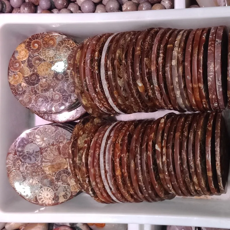 11-12 см настоящий аммонит Fossil Slice Plate кристальная океанская раковина камень Мадагаскар минеральный исцеляющий витрина, домашний декор