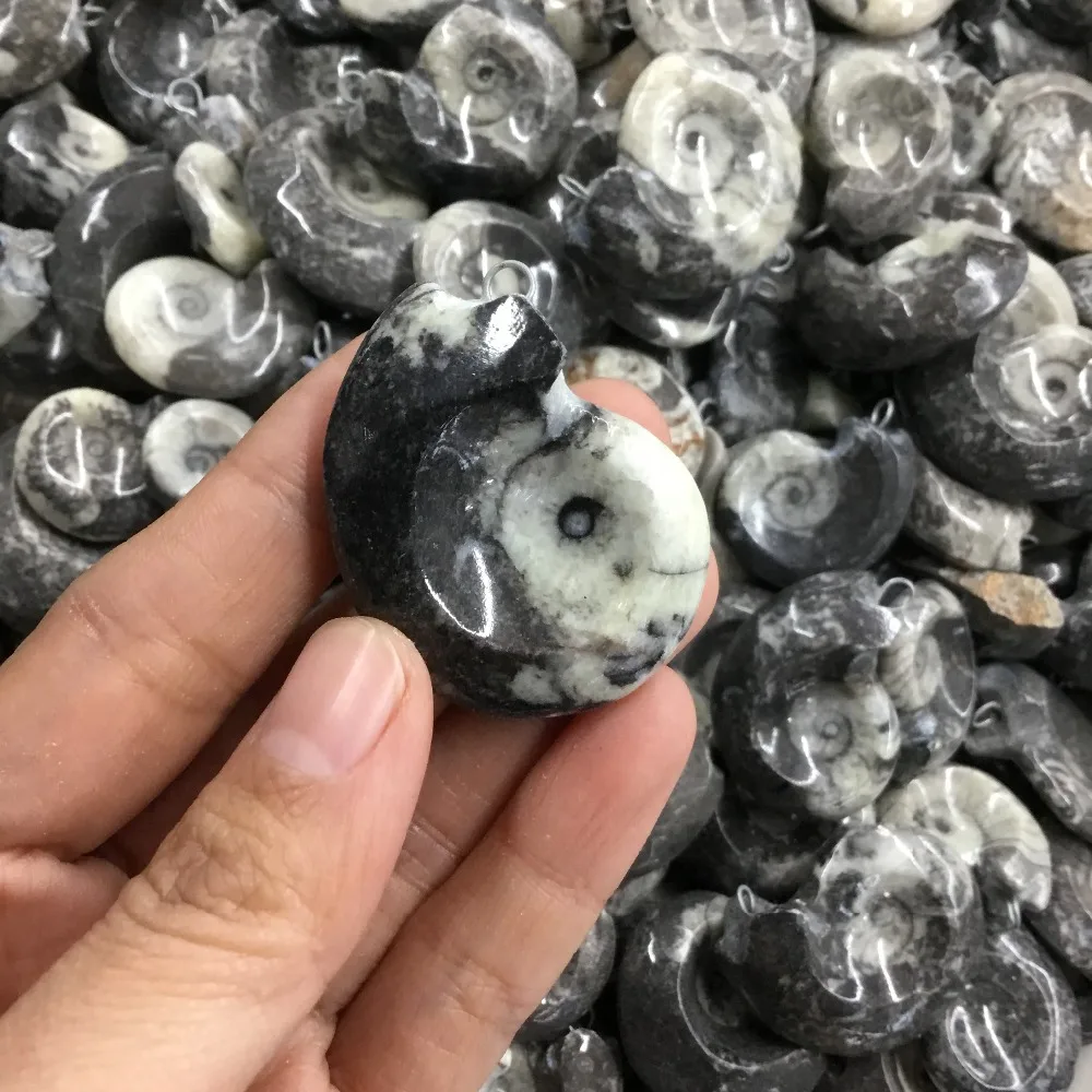 

Natural Fossils crystal Pendant conch Fossil Stone Crystal Pendant for gift