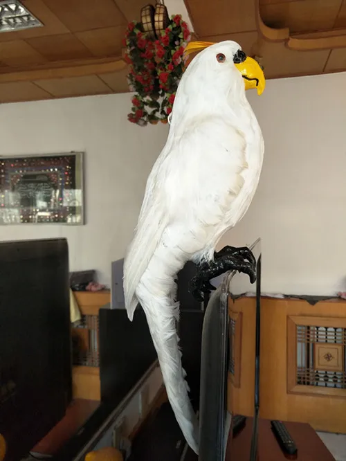 Новая белая имитация попугая модель игрушки Смола &amp мех птица подарок около 45 см