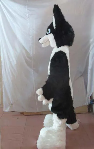 

Discount factory sale Border Collie Husky Dog Mascot Costume Halloween Christmas Birthday Celebration Carnival Dress