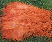wholesale 50 pcs beautiful orange 25 30 cm10 12 inches high quantity peacock feathers all sorts of adornment