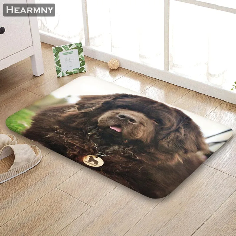 HEARMNY, Новое поступление, коврик для двери, Newfoundland, собака, домашний коврик, машина, сделанный, противоскользящий ковер, для гостиной/прихожей, коврик для ванной, для детей, подарок - Цвет: 6