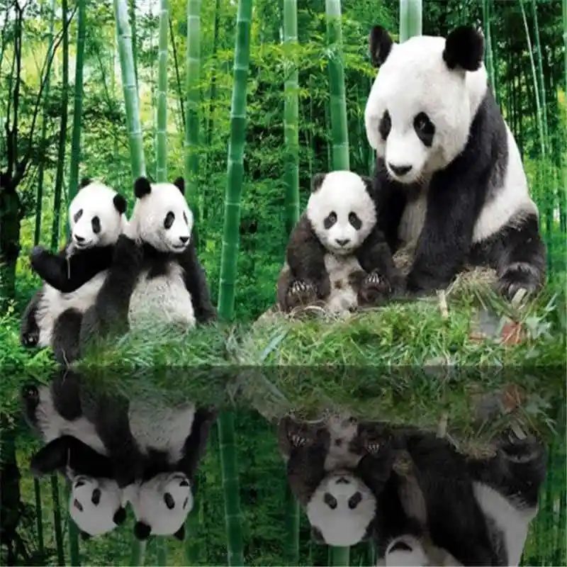 

3D Custom Photo Wallpapers HD Chinese Panda Woods Wall Murals Bamboo Tree Forest Wall Papers for Living Room Bedroom Home Decor