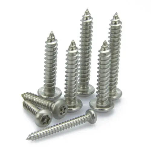 Винты самонарезающие из нержавеющей стали M2.9 Torx с круглой головкой и колтусом x 16