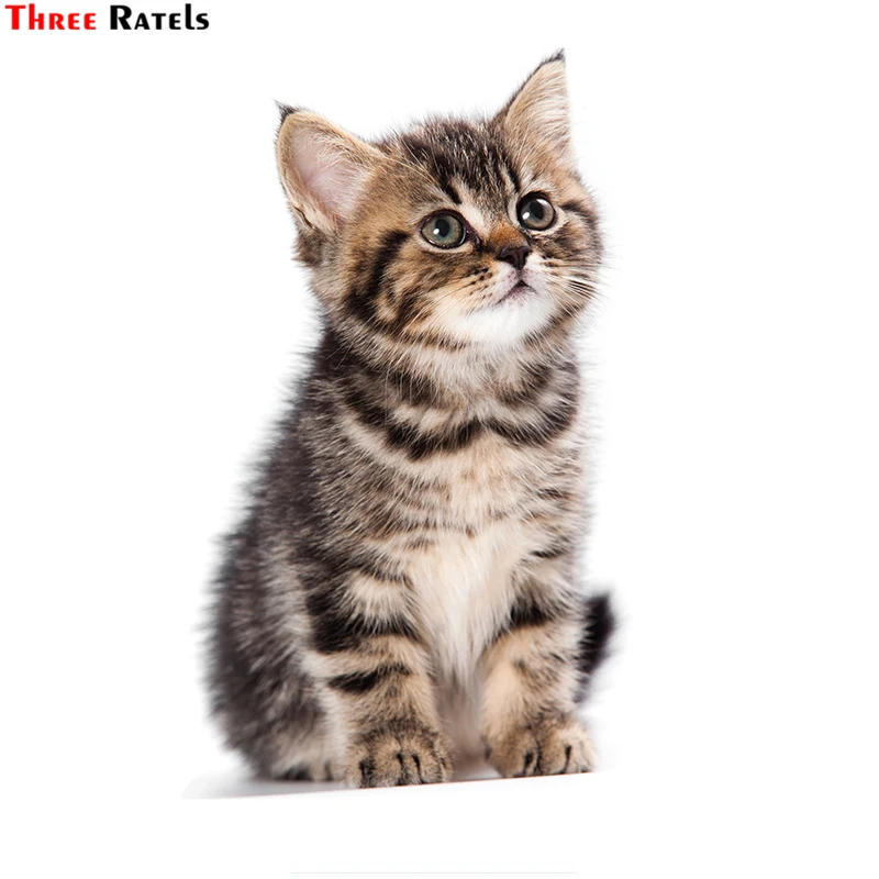 Три Ratels TZ 1746 #11 8x20 см милые стикеры на автомобиль Naughty Cat забавные наклейки авто