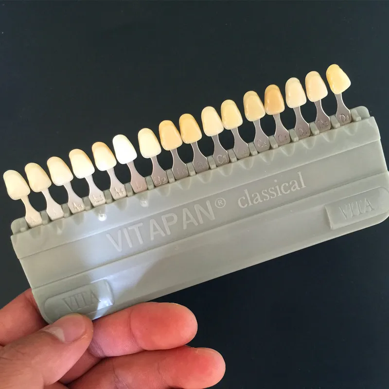 Материал: Стоматологическая модель de los dientes vita|Модель зубов с орто-металлическим