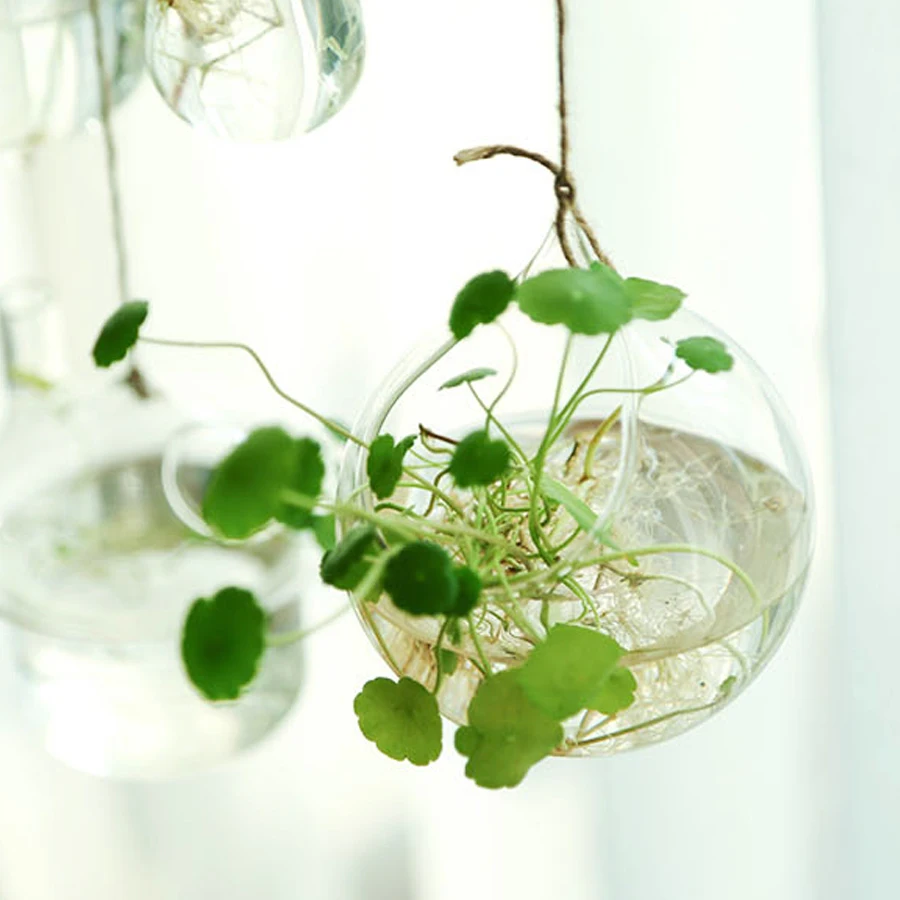 DIY творческий висит ясно стеклянная ваза для цветов гидропоники крытый