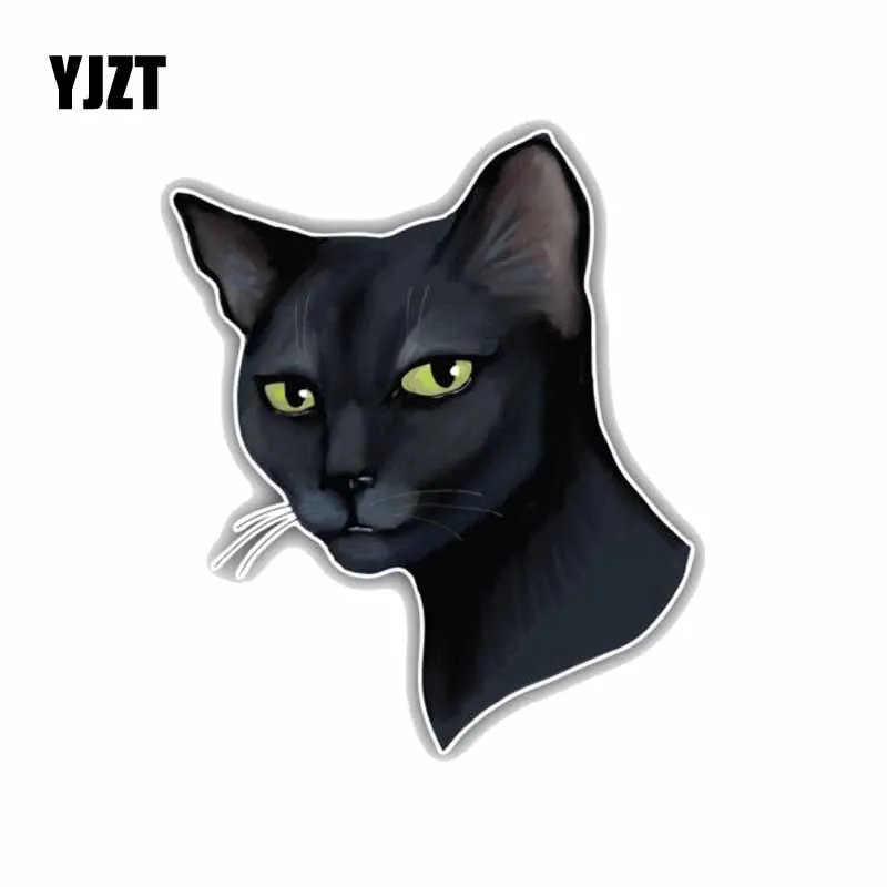 

YJZT 11,8*14 см, фотообои с кошачьим лицом, наклейка на окно
